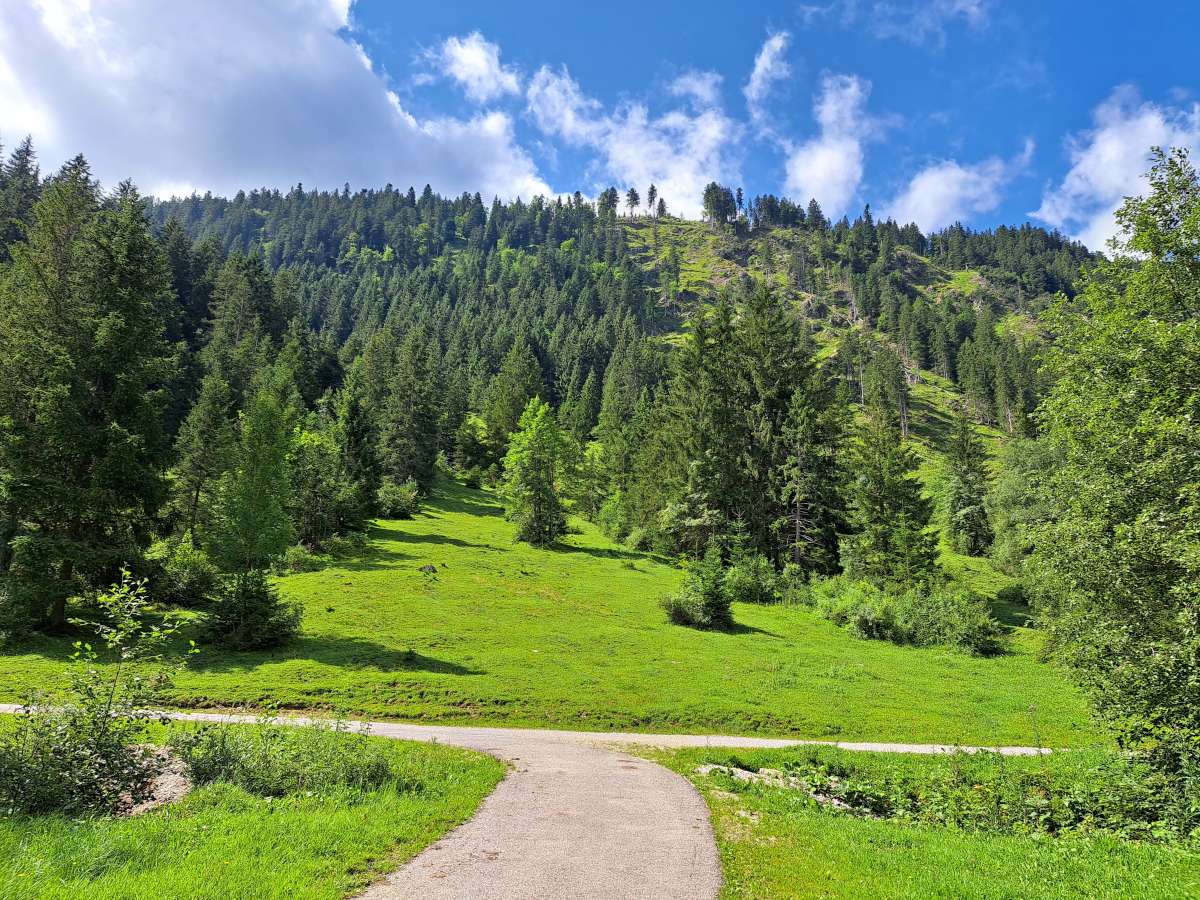 Radwege in schönster Natur. Sommerlandschaft rund um Wertach