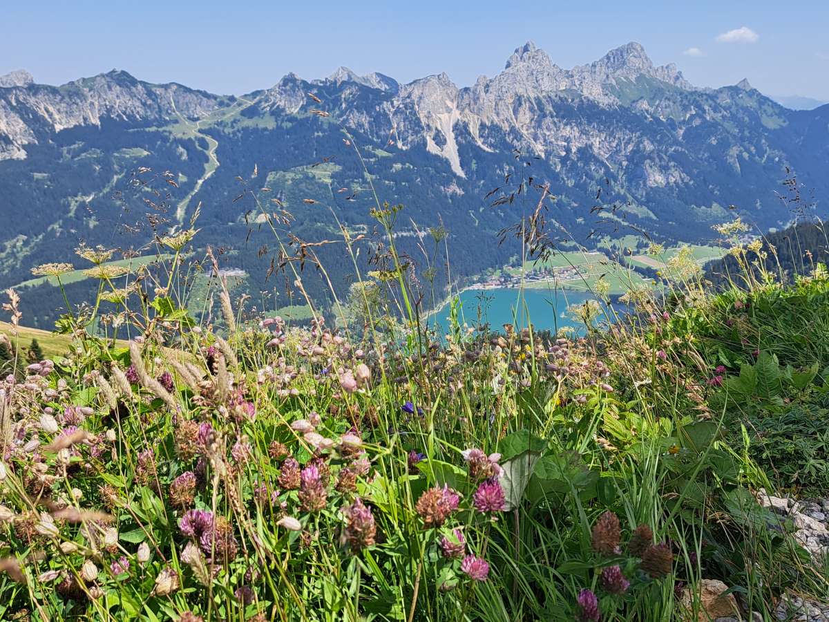 Gute Aussicht von den Tannheimer Bergen