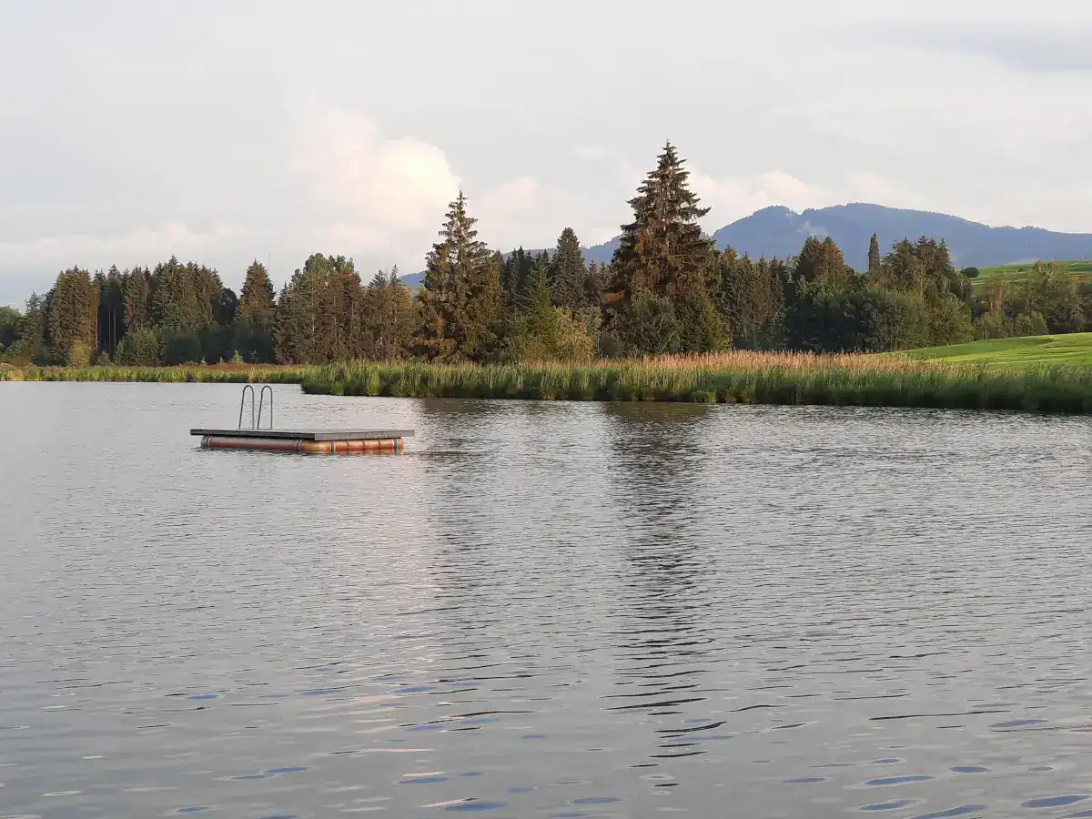 Schwarzenberger Weiher mit Schilfgras am Ufer